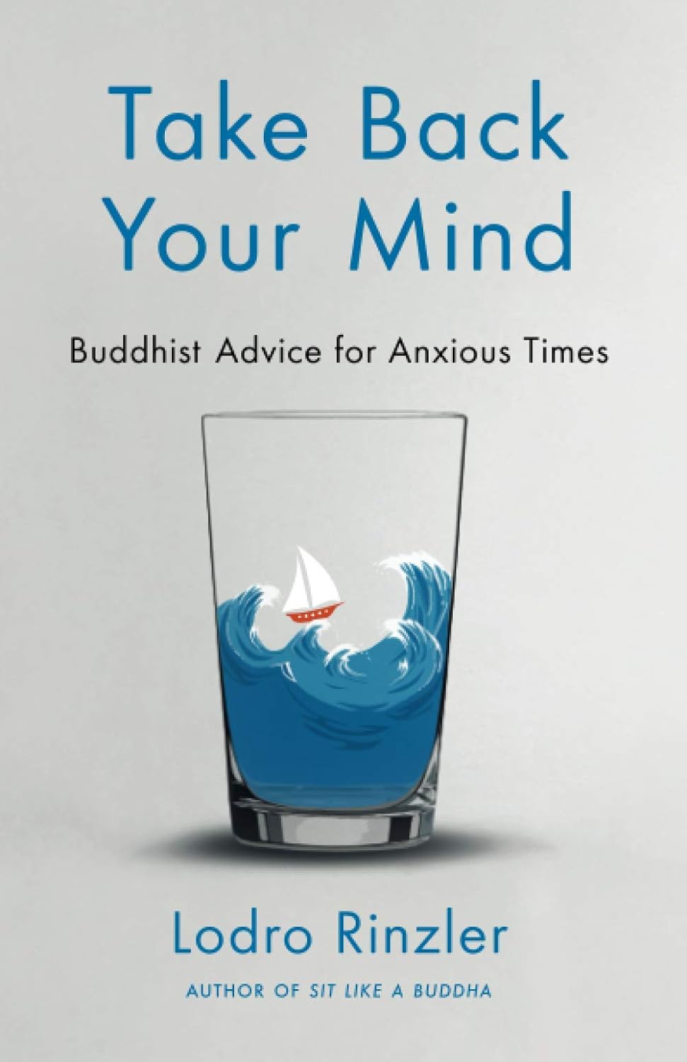 Take Back Your Mind: Buddhist Advice for Anxious Times - Lodro Rinzler